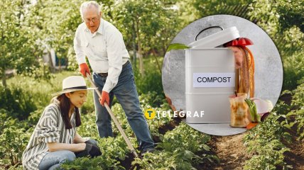 Не відходи, а скарб для саду та городу