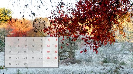 Календар свят на листопад 2022 року