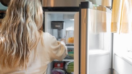Как убрать запах из холодильника | демонтаж-самара.рф