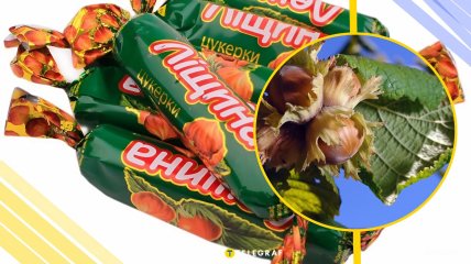 Иллюстративное фото