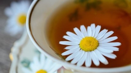 Врачи рассказали, помогает ли ромашковый чай при бессоннице