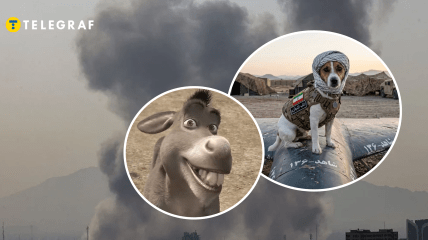 Вибух, віслюк зі "Шрека" та пес