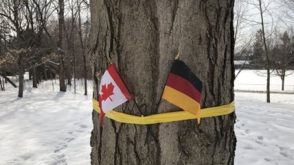 Канадцы во время визита короля Бельгии перепутали флаги