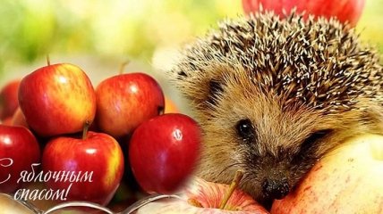 Яблочный Спас 2017: лучшие поздравления, красивые открытки