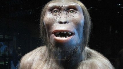 В зубах древнего человека был обнаружен смертельный вирус 