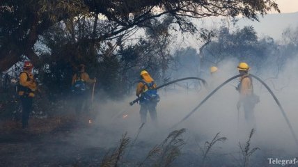 Возросло число жертв лесных пожаров в Калифорнии