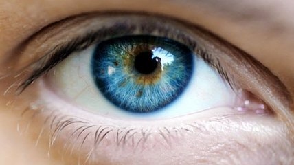 Ученым удалось создать искусственную радужную оболочку глаза
