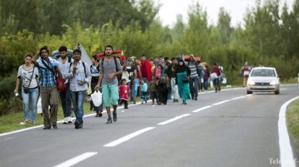 Венгрия строит заграждения на границе с Хорватией
