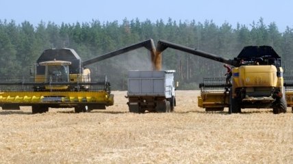Украина значительно увеличила экспорт агропродукции