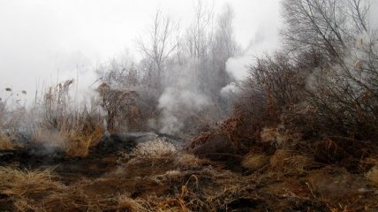 В Полтавской области загорелись два очага торфяников