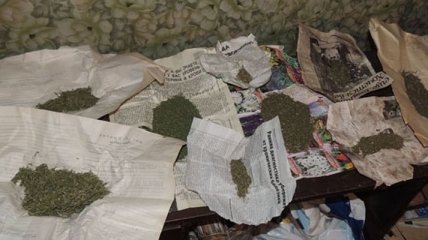 В Донецкой области полиция изъяла марихуаны на 25 тысяч гривен