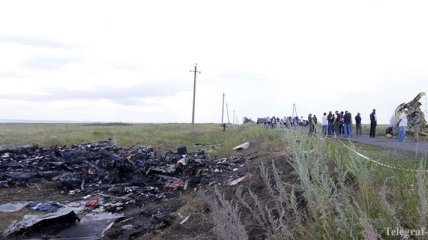 Сегодня образцы ДНК жертв Boeing должны отправить в Харьков