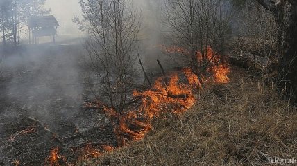 В Чернобыльской зоне больше недели горят леса: что известно на 14 апреля