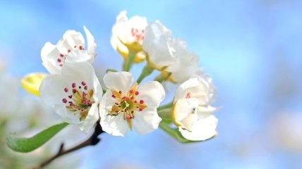 Приметы и обряды на 19 апреля – Евтихий Тихий и Ерема Пролетный
