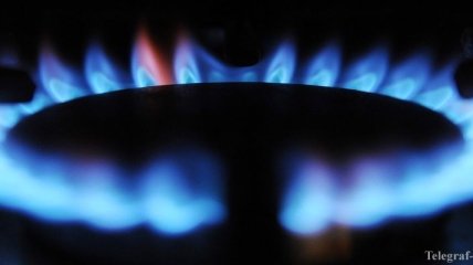 В МЭРТ назвали цену на импортируемый Украиной газ в декабре 
