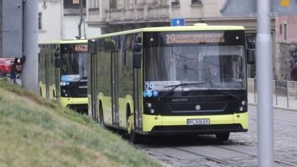 Обскакали даже Киев: во Львове резко подорожал проезд в городском транспорте