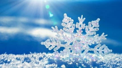 Погода в Украине 25 декабря: ожидаются снегопады