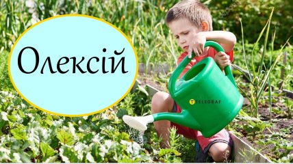 Сколько вариантов имеет это имя