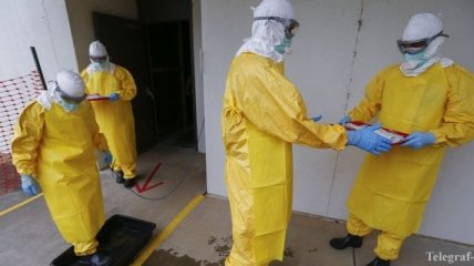 Вакцину против Эболы испытают на добровольцах