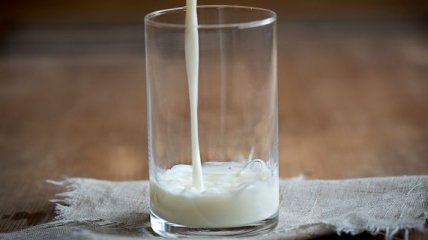 Врачи рассказали, что употребление топленого молока очень полезно для мозга