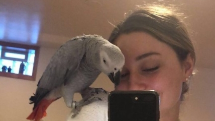 Папуга зі своєю "людською сестрою".