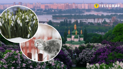 Киев, кот и Киев весной