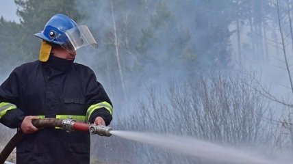 Пожары в Чернобыле: спасатели ликвидируют отдельные очаги