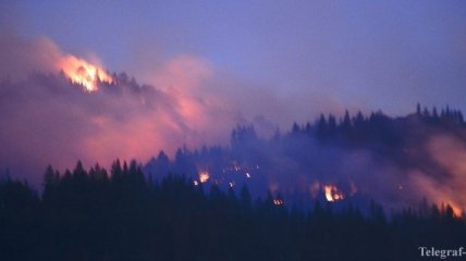В Калифорнии бушует лесной пожар
