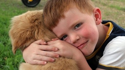 Развивает ребенка: еще одна причина завести собаку