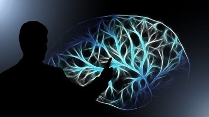 Диета для мозга: лучшие продукты для ясного ума