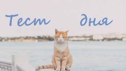 Ворожіння по картинці