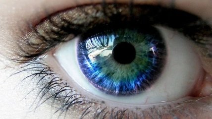 Человеческий глаз способен уловить инфракрасное излучение 