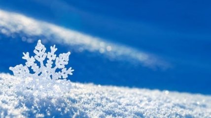 Ученые рассказали, когда на Земле впервые пошел снег