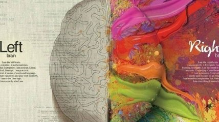 Как развивать полушария мозга?