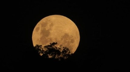 Редкое затмение: человечество в разных уголках мира увидело "кровавую луну" (фото, видео)