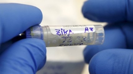 Прототип новой вакцины от вируса Зика признан работающим