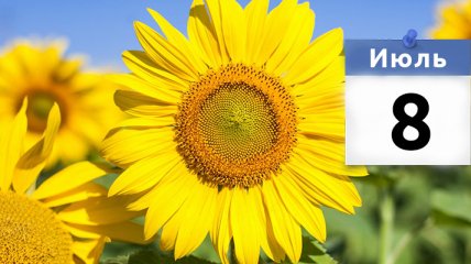 Какой праздник 8 июля: народные приметы и запреты