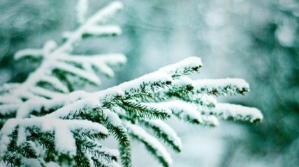 Погода в Украине на 2 января: во всех регионах страны - снег и мороз