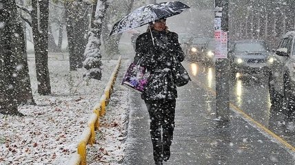 Дождь, снег и ветер: какой будет погода в первые дни зимы 