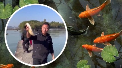 Рыбы пострадали от разлива вина в озеро