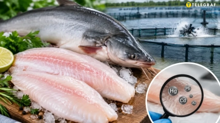 К этому продукту следует относиться с осторожностью