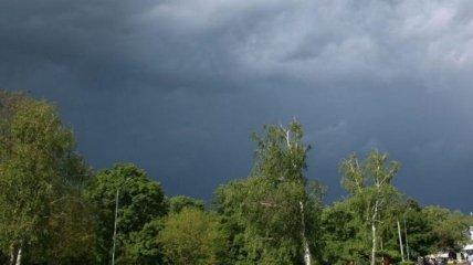 Грозы, сильные дожди и шквалы: Украину накроет непогода 