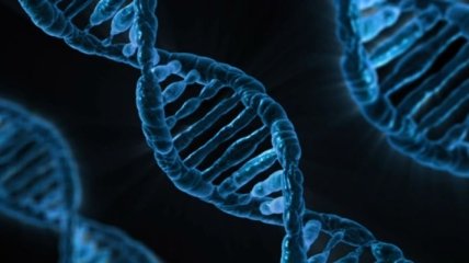 Спасет ли CRISPR от рака? Первые результаты исследования