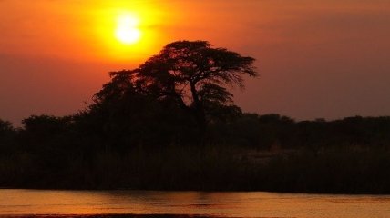 В Африке найдено место, откуда произошли современные люди