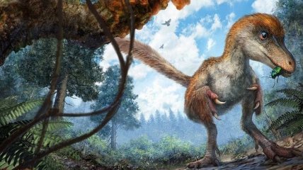 Ученые нашли оперенный хвост динозавра