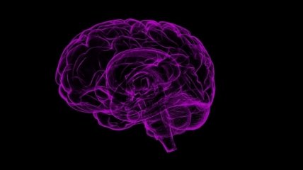Ученые узнали, как наш мозг "стирает" воспоминания