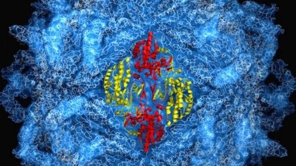 Биохимики создали искусственные вирусы без ДНК