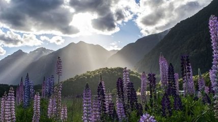 Новая Зеландия: снимки, которые покажут Вам волшебную природу этой страны (Фото)