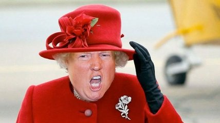 Парень создает забавные коллажи из снимков Дональда Трампа и королевы Елизаветы II