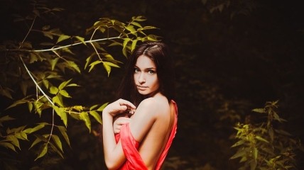 Гороскоп про Львов, Стрельцов, Тельцов, Овнов